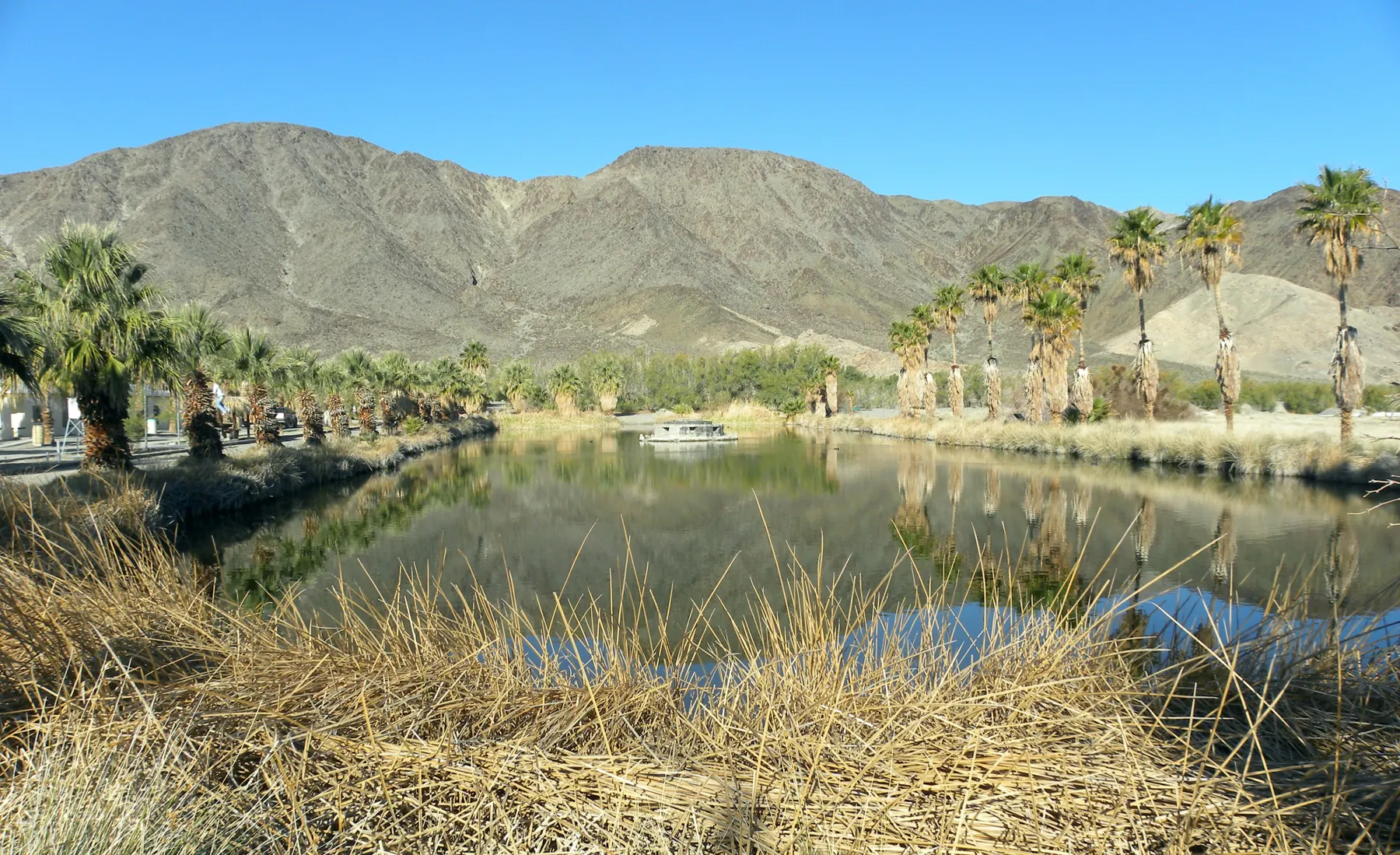 Lake Tuendae at Zzyzx